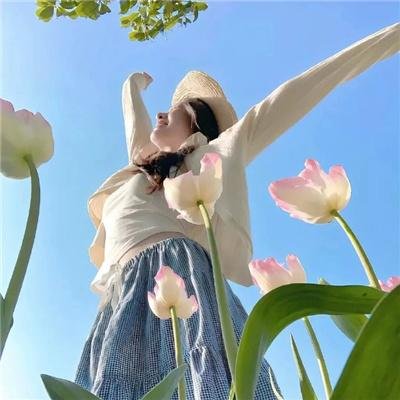 我在岛屿读书