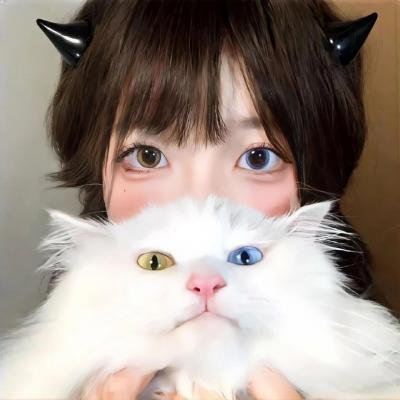 赌注